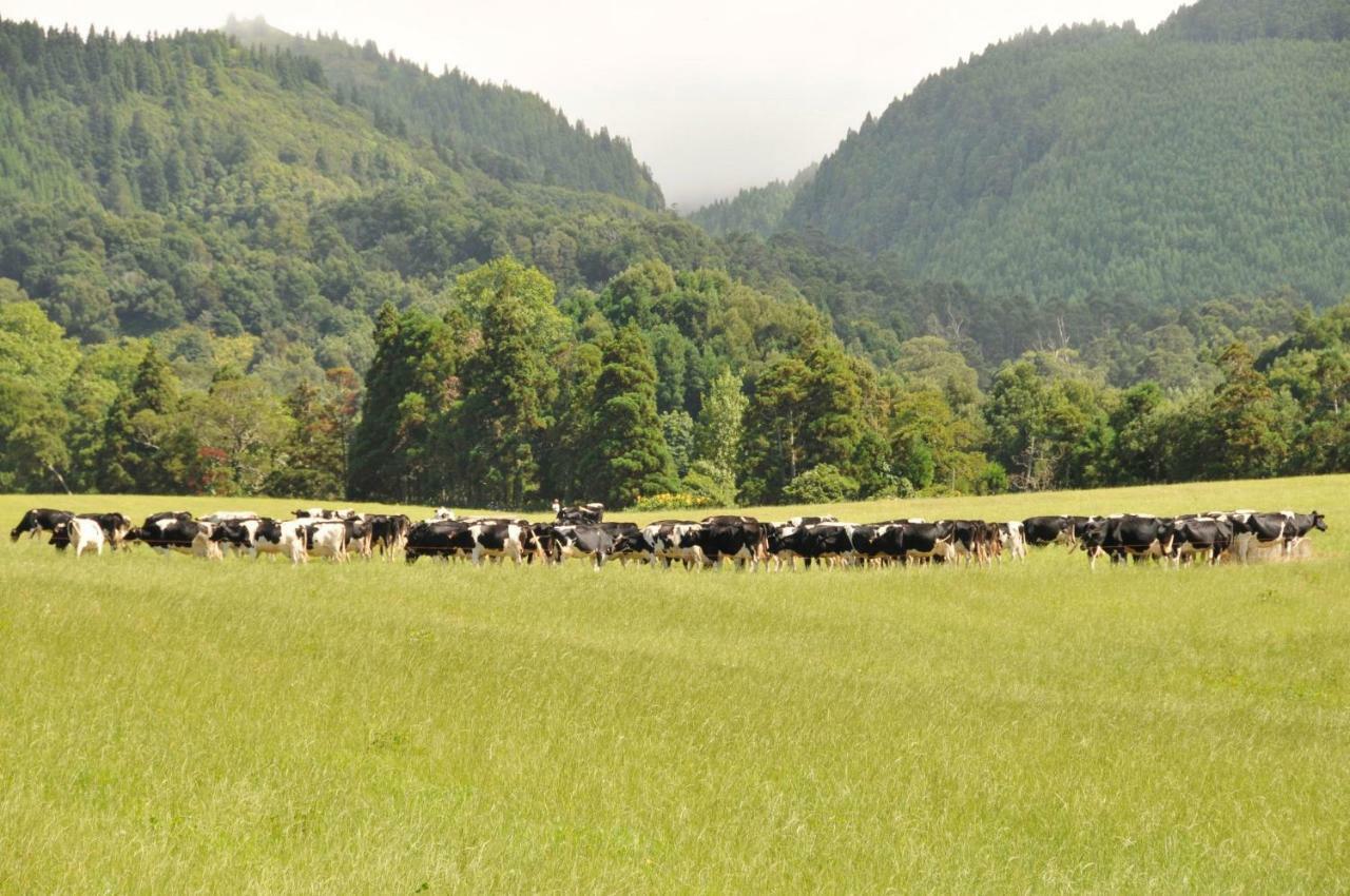 #Areias Houses 7 Furnas  Eksteriør billede